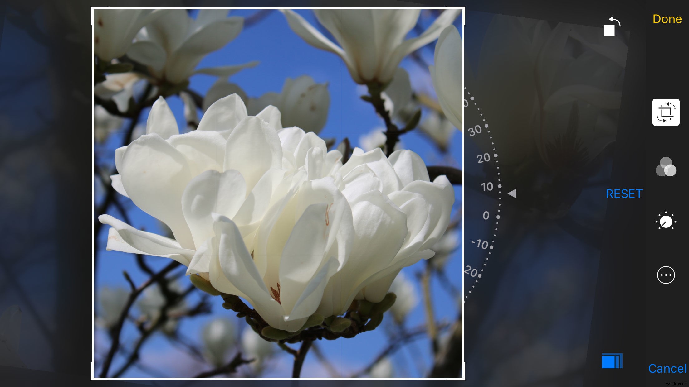 iPhone「写真」アプリ完全ガイド：編集・整理・検索・共有の基本と便利技