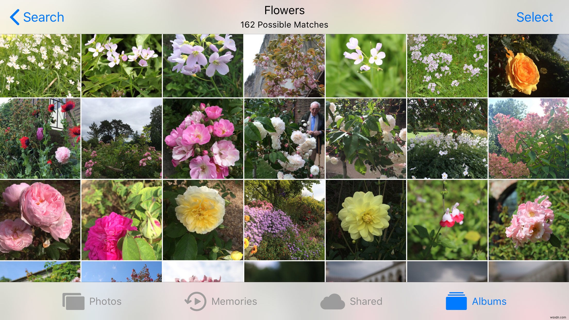 iPhone「写真」アプリ完全ガイド：編集・整理・検索・共有の基本と便利技