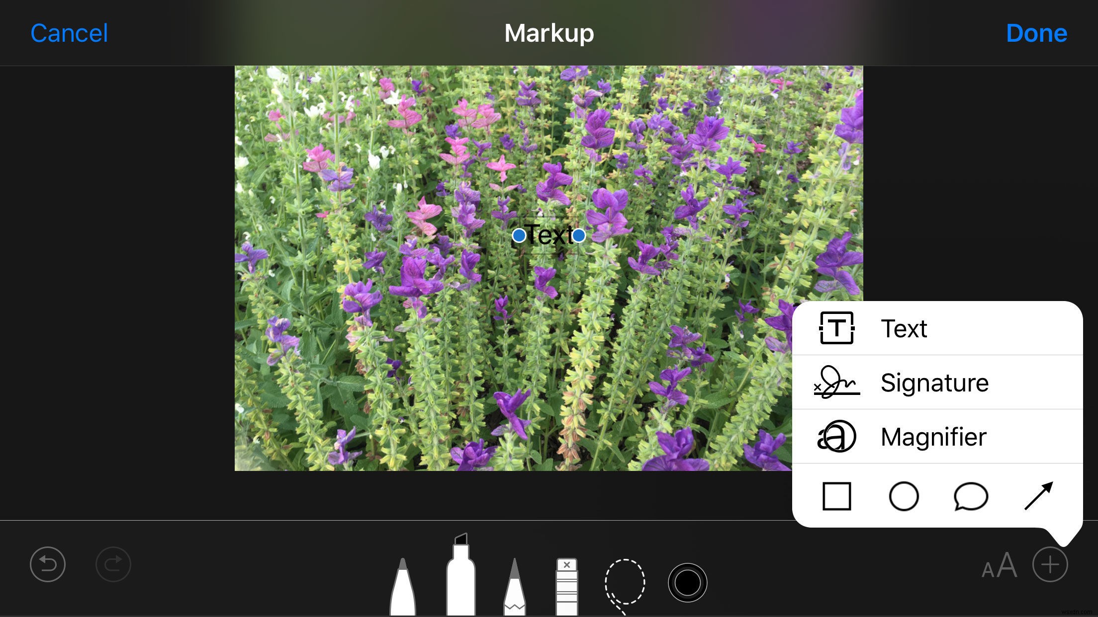 iPhone「写真」アプリ完全ガイド：編集・整理・検索・共有の基本と便利技