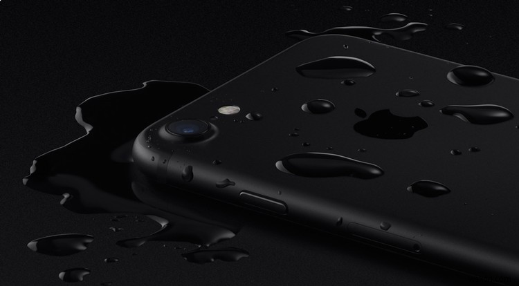 iPhoneで水中写真を撮る方法|防水性能・ケース・撮影のコツを徹底解説