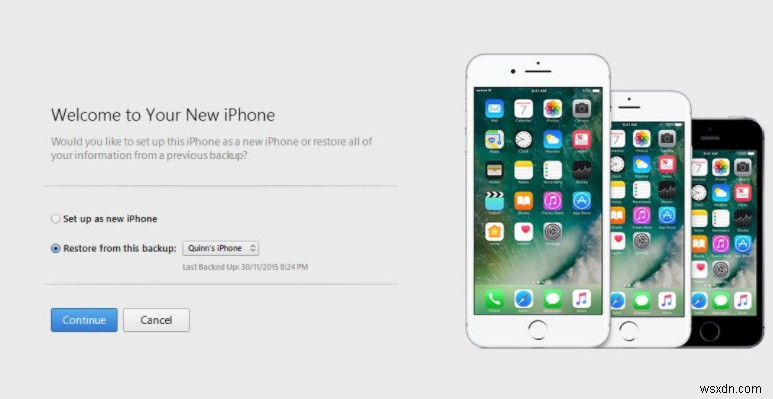 iTunesでバックアップオプションがグレーアウトして使えない？6つの対処法を徹底解説