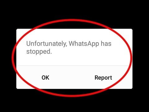 MacでWhatsAppを使う方法|知っておきたい3つのアプローチとトラブル対処法