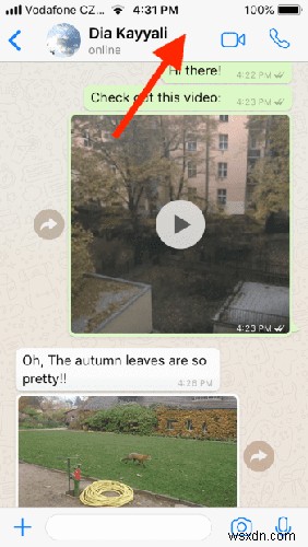 WhatsAppのチャット履歴をエクスポート・保存する3つの方法【iPhone/Android/PC対応】