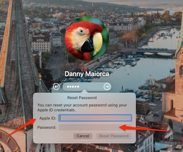 Macのパスワードを忘れたときの対処法まとめ｜ログイン・管理者・iCloudのリセット手順