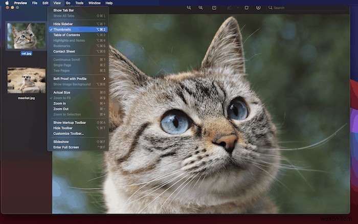 macOSでスキャンした書類をPDFに結合する方法【プレビュー・クイックアクション活用】