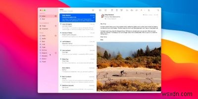 Apple Mailでトラッキングピクセルをブロックしてプライバシーを守る方法