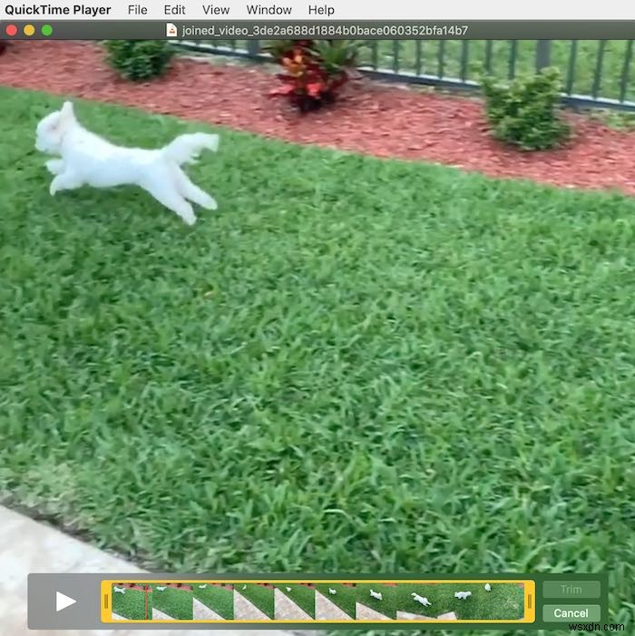 MacのQuickTimeで動画を編集する方法|回転・トリミング・分割などの隠れた機能を徹底解説