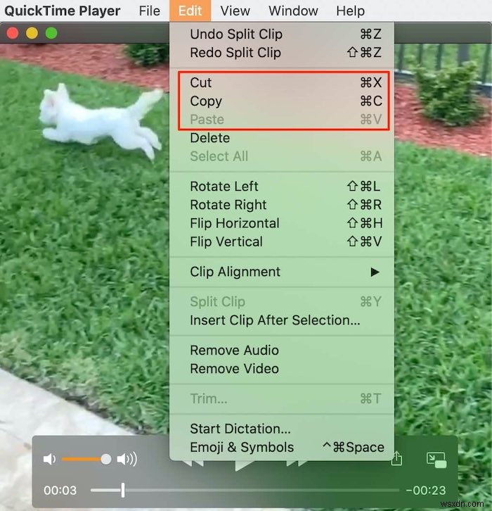 MacのQuickTimeで動画を編集する方法|回転・トリミング・分割などの隠れた機能を徹底解説