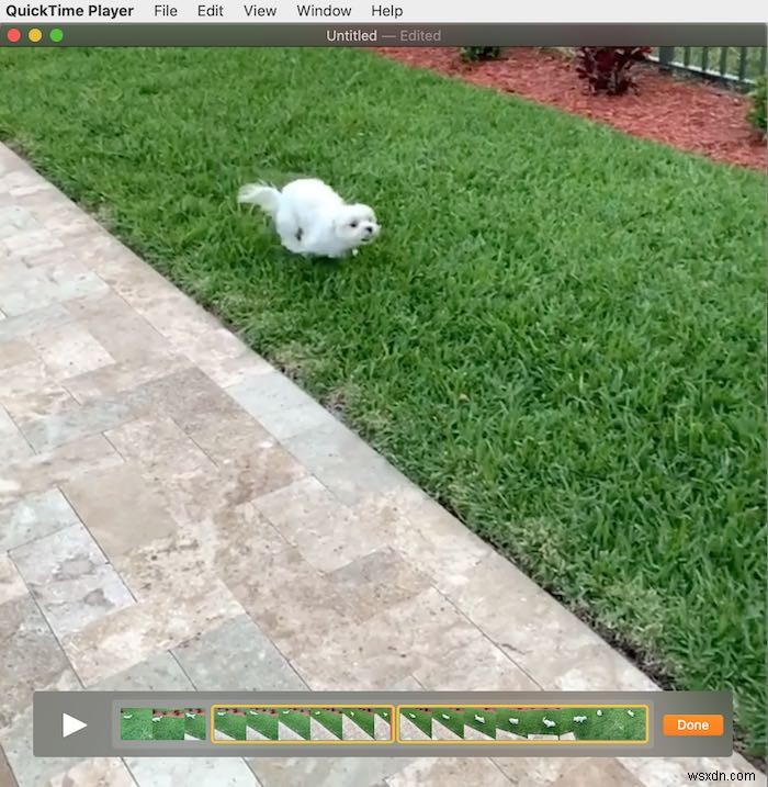 MacのQuickTimeで動画を編集する方法|回転・トリミング・分割などの隠れた機能を徹底解説