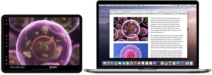 macOSとiOSを連携させる「Continuity」機能とは？各機能の使い方を徹底解説