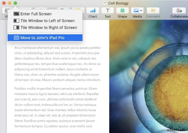 macOS Catalinaの隠れた5つの機能でMacBookの生産性を最大化する方法