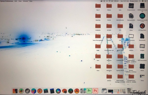 Macで画面の色を反転する方法!アクセシビリティ設定の手順を解説