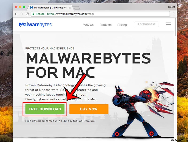 Macからマルウェアを検出・削除する方法【Malwarebytes活用ガイド】