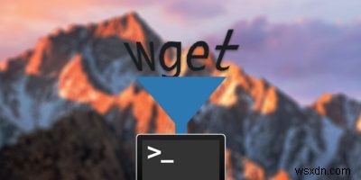 Macのターミナルに新しいコマンドを簡単に追加する方法（Homebrew活用）