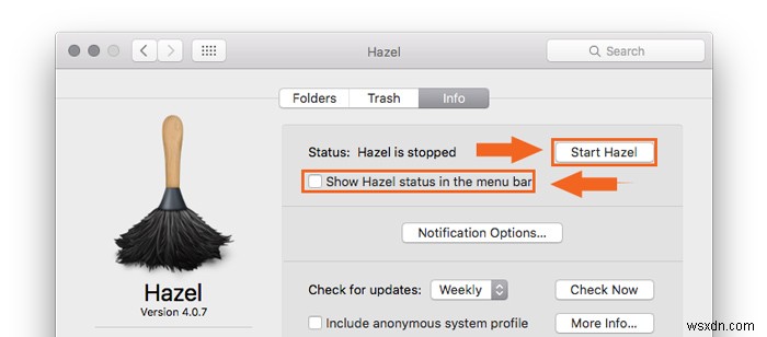 Macのファイル整理を自動化!Hazelで使える便利なカスタムルール3選