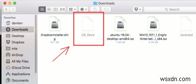 たった1つのコマンドで.DS_Storeファイルを一括検索・削除する方法