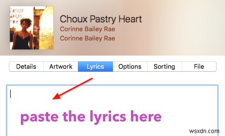 【Mac】無料アプリ「Singer Song Reader」でiTunes楽曲の歌詞を自動検索・保存・表示する方法