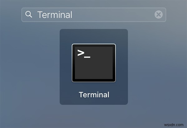 Macの稼働時間(アップタイム)を確認する2つの方法【初心者向け】