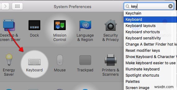 Liquid – Macで選択したテキストの詳細情報を最速で取得できる無料アプリ