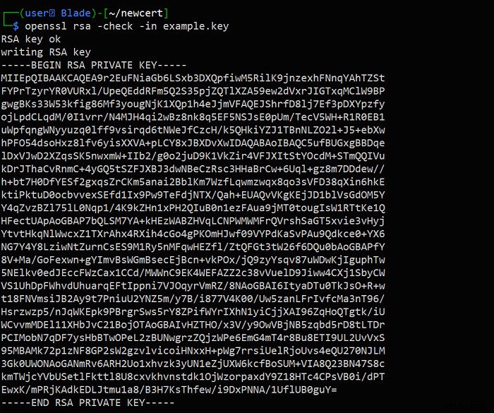 OpenSSLでSSL証明書を生成する方法!Linuxでの手順を徹底解説