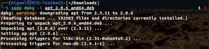apt と apt-get の違いを徹底解説！Debian系Linuxパッケージ管理コマンド完全ガイド