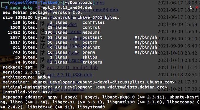 apt と apt-get の違いを徹底解説！Debian系Linuxパッケージ管理コマンド完全ガイド