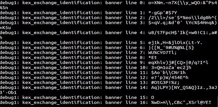 LinuxサーバーにSSHハニーポットを構築してハッカーを捕まえる方法