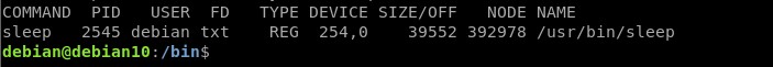 【Linux入門】lsofコマンドで開いているファイルとプロセスを一覧表示する方法