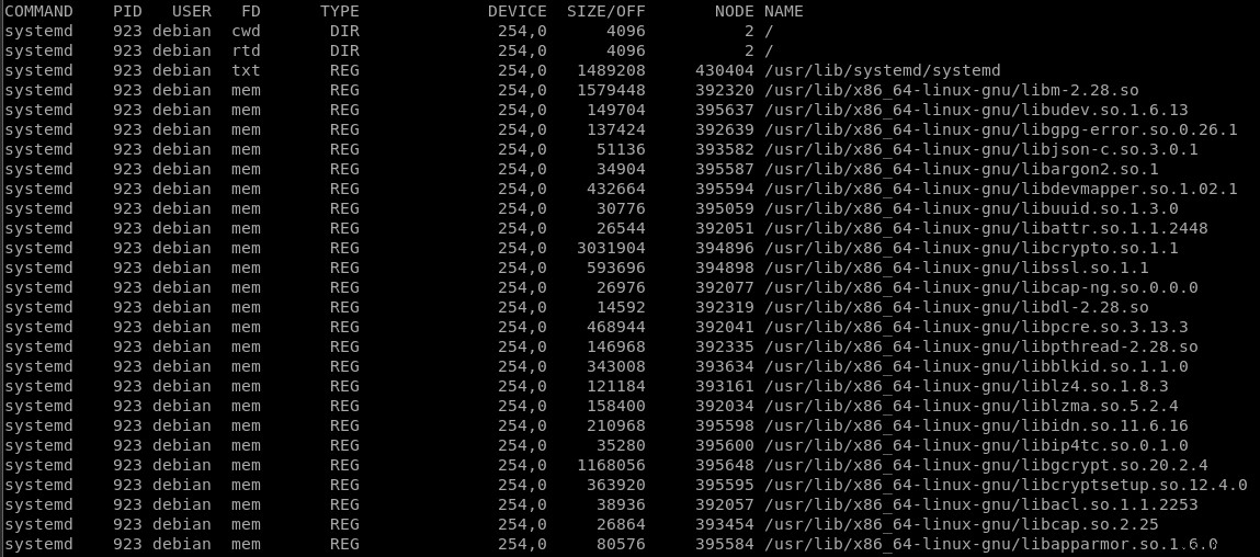 【Linux入門】lsofコマンドで開いているファイルとプロセスを一覧表示する方法