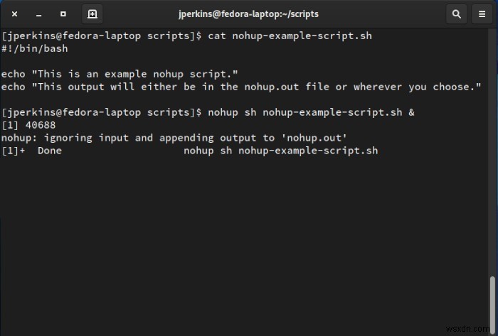 nohupコマンドとは？基本的な使い方をわかりやすく解説