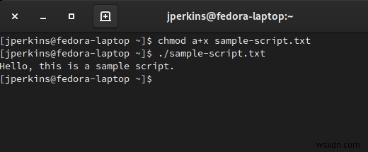 シバン（#!）とは？Linuxスクリプトでの正しい使い方を徹底解説