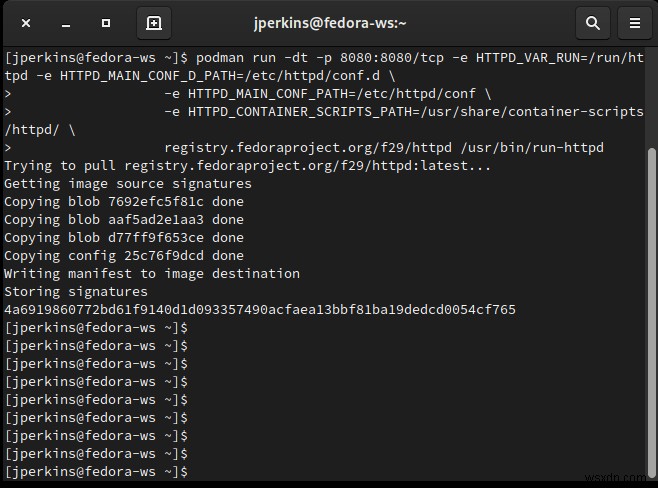LinuxでPodmanを使いこなそう：初心者向けコンテナ入門ガイド