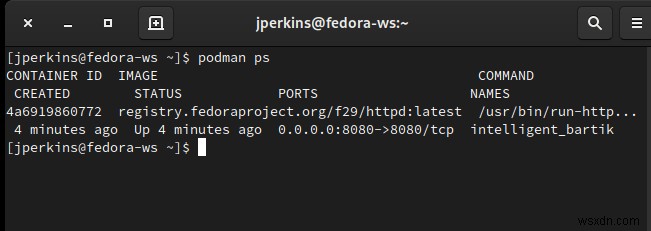 LinuxでPodmanを使いこなそう：初心者向けコンテナ入門ガイド