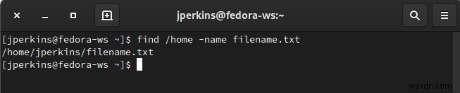 【findコマンド徹底解説】Linuxでファイルやディレクトリを柔軟に検索する方法