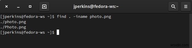 【findコマンド徹底解説】Linuxでファイルやディレクトリを柔軟に検索する方法