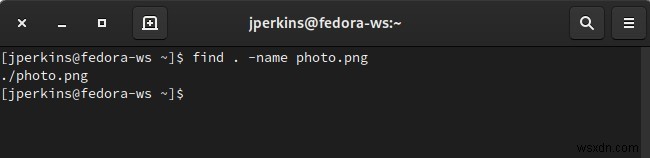 【findコマンド徹底解説】Linuxでファイルやディレクトリを柔軟に検索する方法