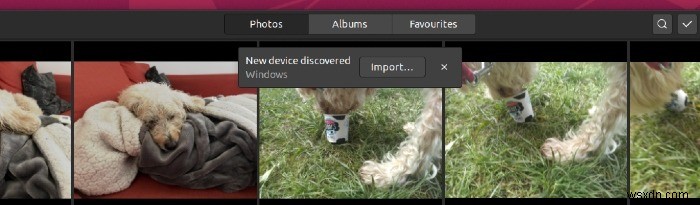 GNOME Photosで写真を整理・共有する方法