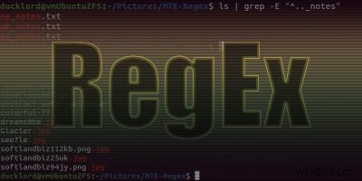 正規表現（RegEx）入門ガイド｜テキスト検索をマスターするための基礎知識