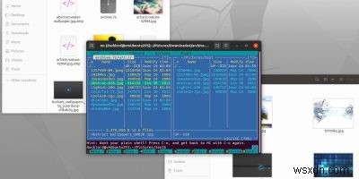 Midnight Commanderで圧縮ファイルを管理する方法|インストールから圧縮・解凍まで完全ガイド