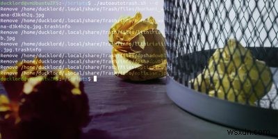 【Ubuntu】AutoTrashでゴミ箱を自動的に空にする方法を徹底解説