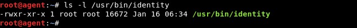 【Linux】setuidの仕組みと使い方 – 昇格した特権でファイルを実行する方法