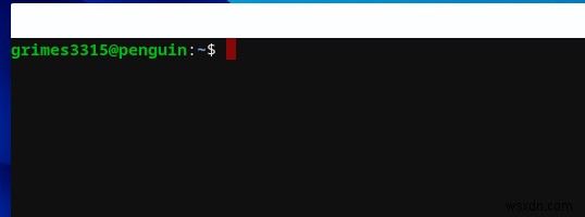 ChromebookでLinux（ベータ版）を有効にする方法｜Crostini導入ガイド