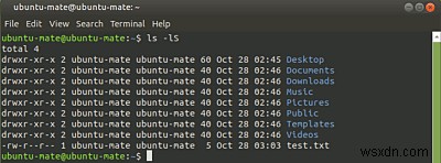 Linux初心者必見!最初に覚えたい基本コマンド6選