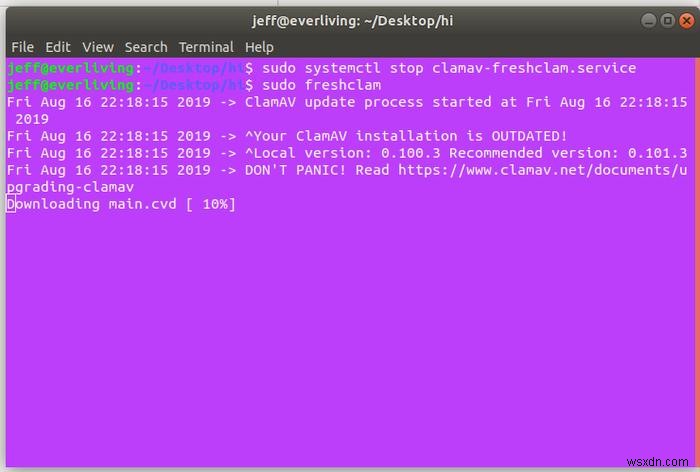 Linuxサーバーのマルウェア・ルートキット検出ガイド:無料ツール3選と使い方