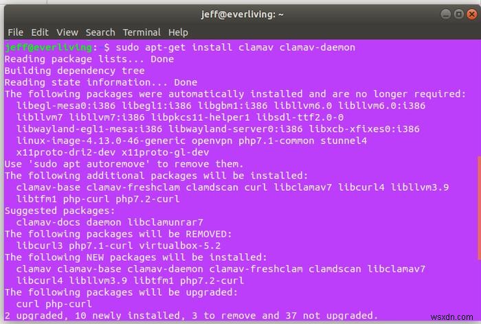 Linuxサーバーのマルウェア・ルートキット検出ガイド:無料ツール3選と使い方