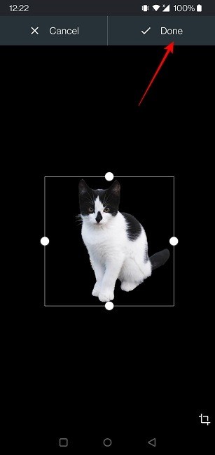 Androidアプリのカスタムアイコンを設定する方法【初心者向け完全ガイド】