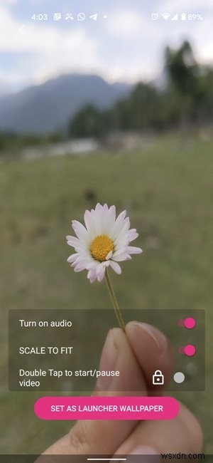 Androidでライブ壁紙・動画壁紙を作成して設定する方法