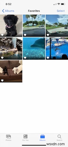 iPhoneで写真を整理する7つの方法｜アルバム作成から重複削除まで徹底解説