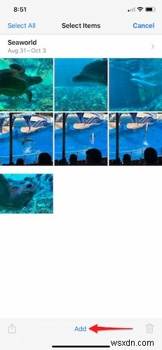 iPhoneで写真を整理する7つの方法｜アルバム作成から重複削除まで徹底解説