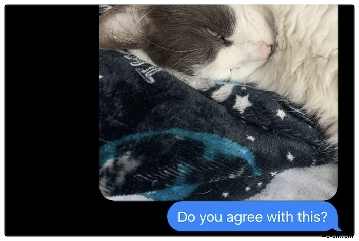 iOSでiMessageのバブル（吹き出し）の色を変更する方法